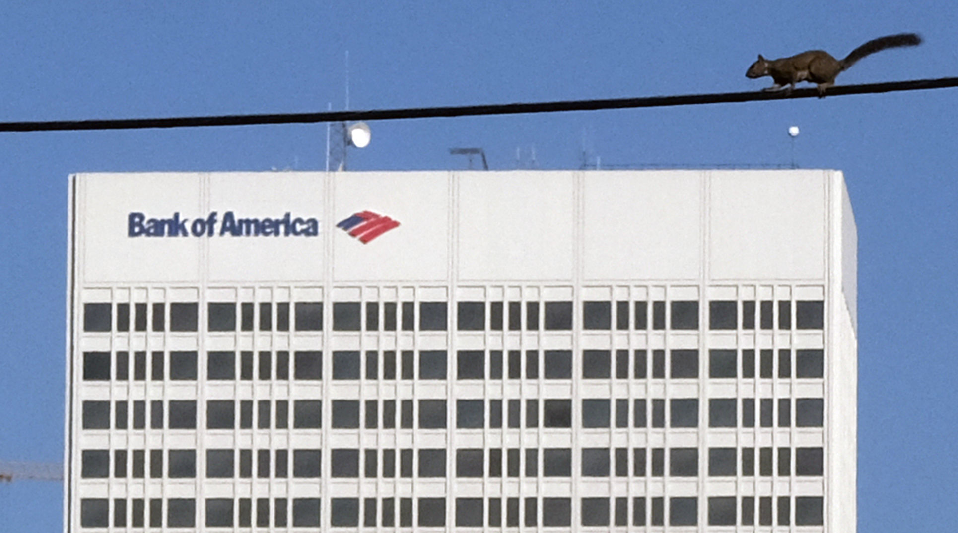 Bank of America Tower -- 333 feet